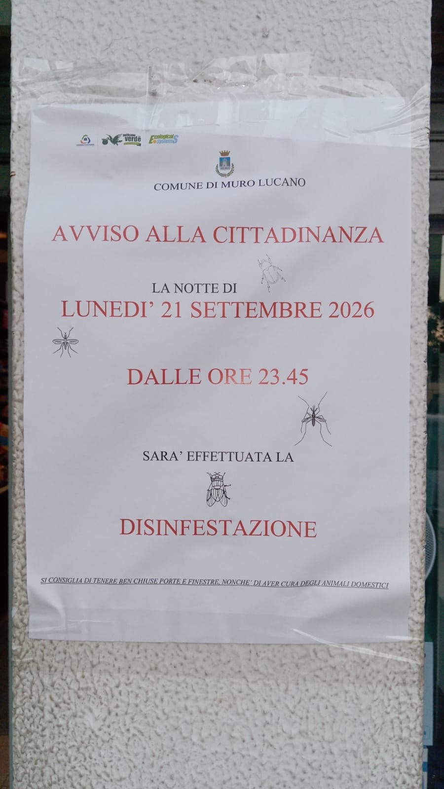 Illustrazione: Disinfestazione 21 Settembre