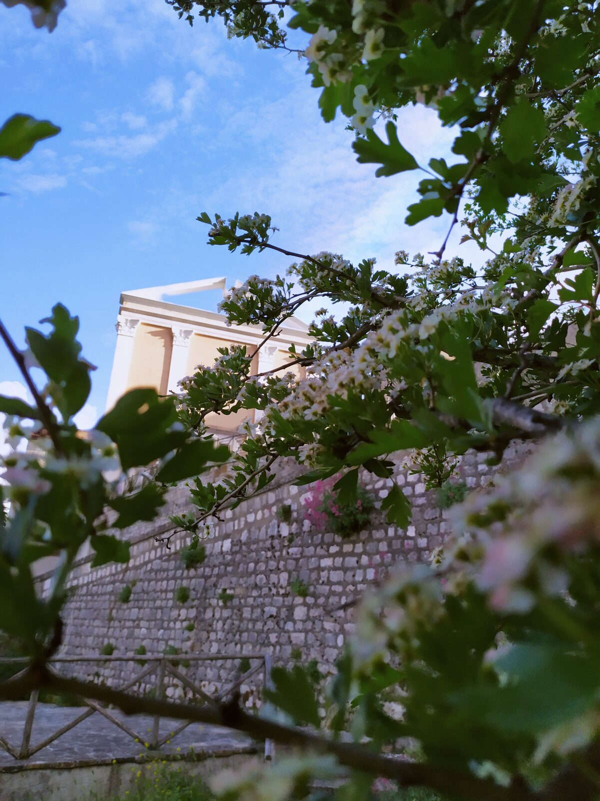 La Concattedrale di San Nicola — immagine 3