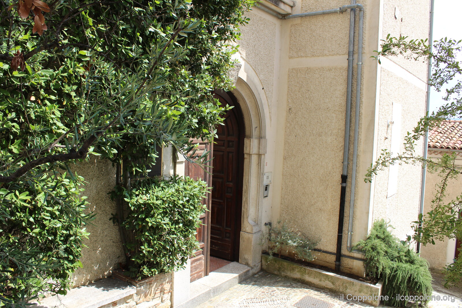 Il Museo Archeologico Nazionale, 28 luglio 2026