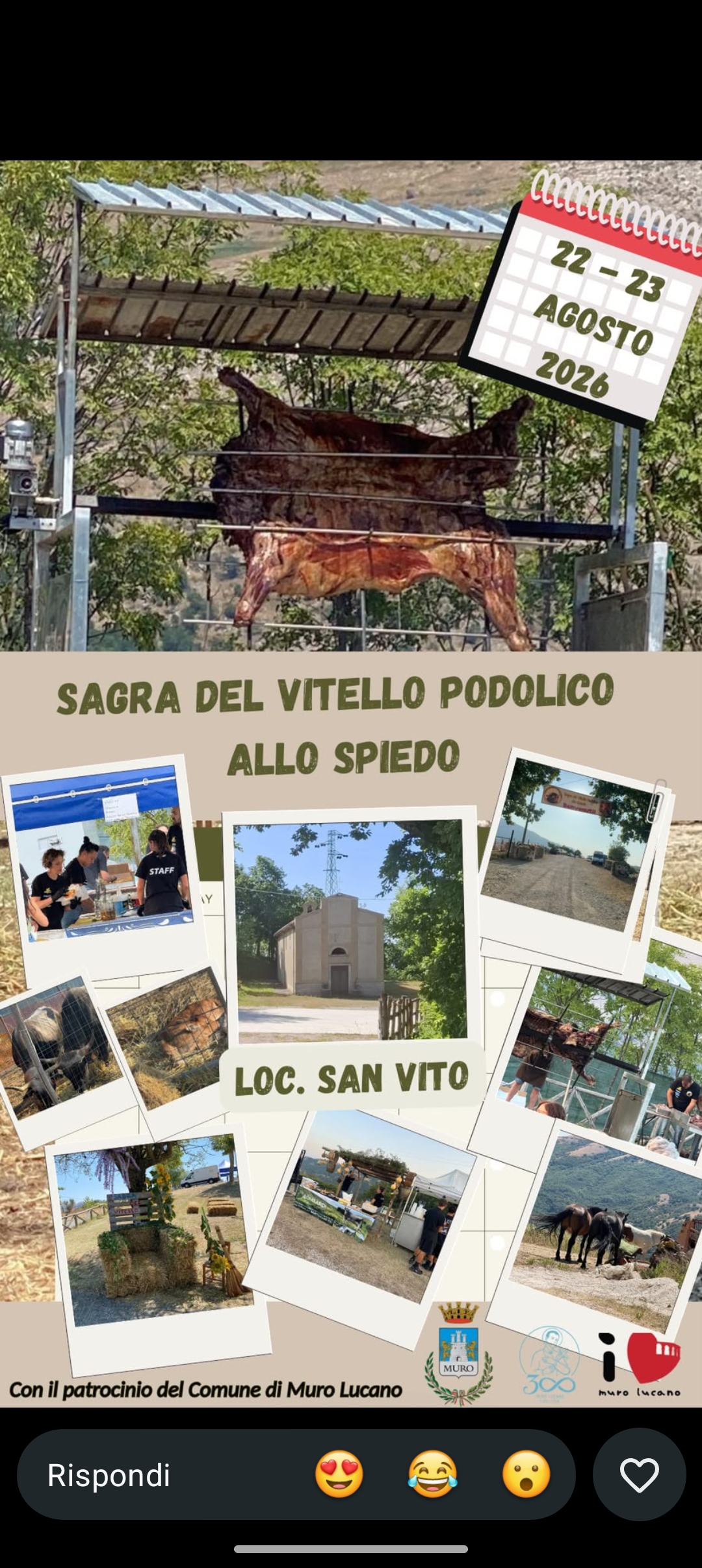 Sagra del Vitello