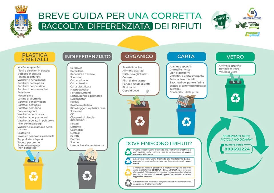 La guida: cosa va in cosa