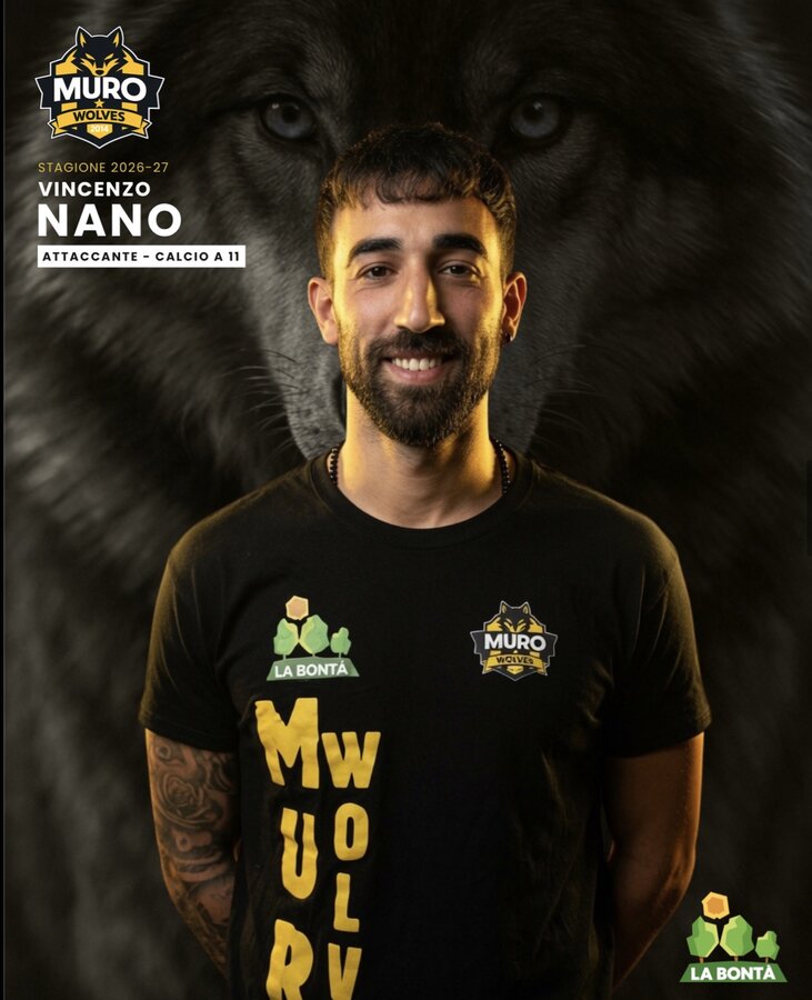 Vincenzo Nano
